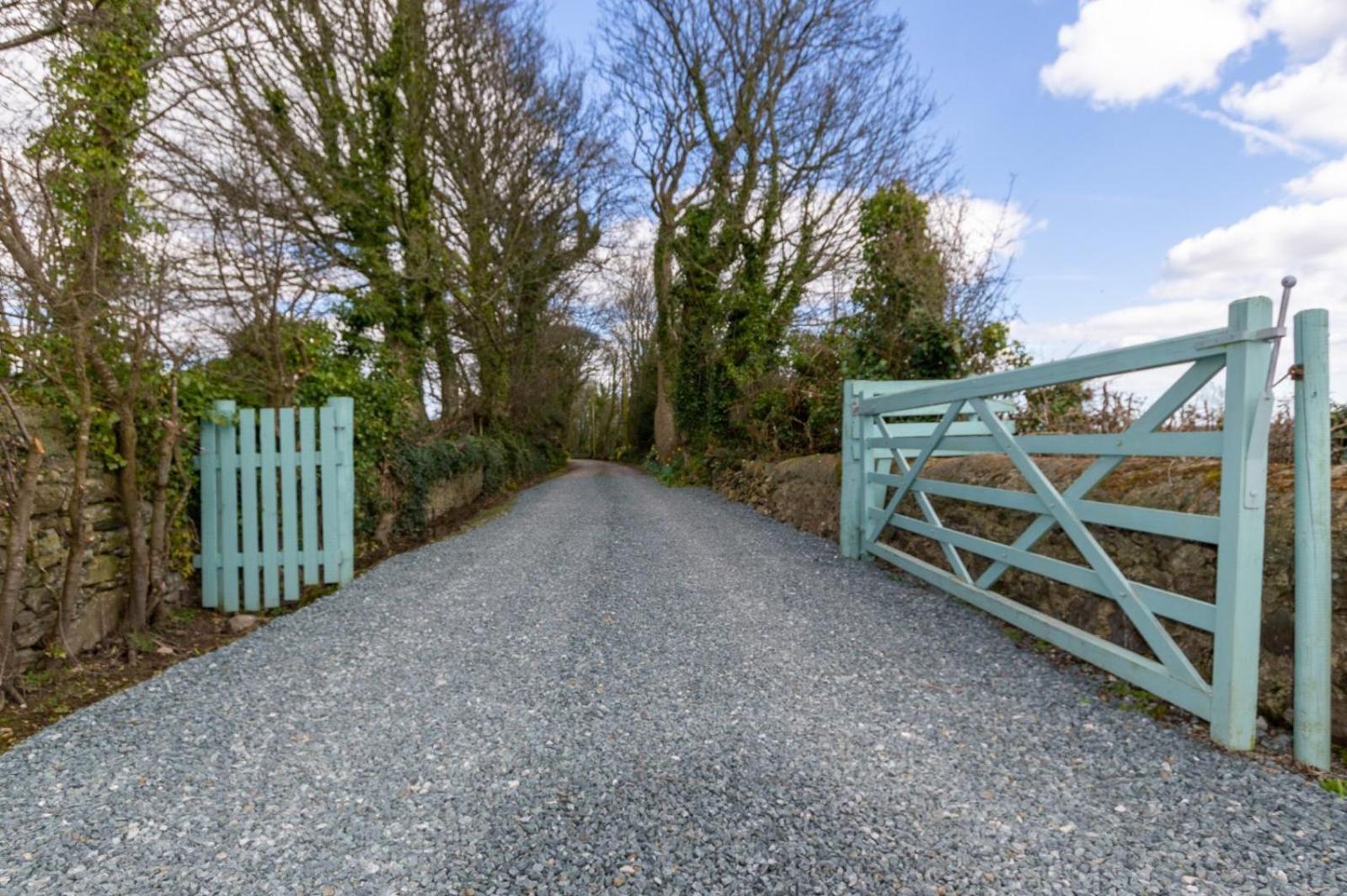 Gwyllt * Dwyran